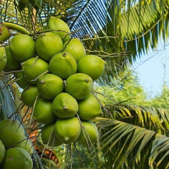 Images (3) - Annapurna Agro Farm