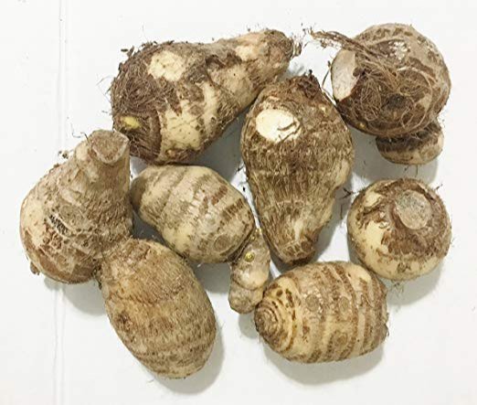 Annapurna Agro Farm - Farm Gallery 31