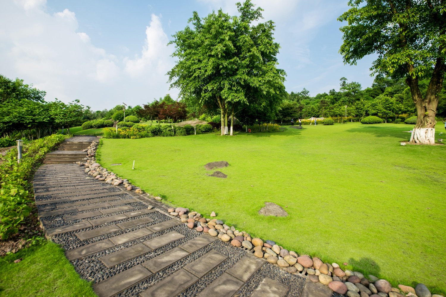 Green grass lawn landscaping by Annapurna Agro Farm