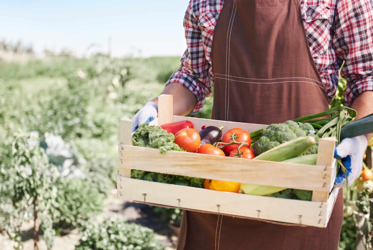 Organic farm products