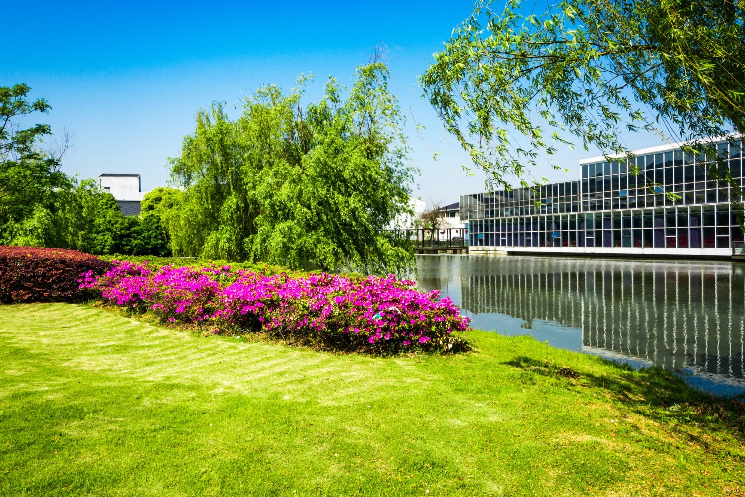 Lawn care and grass maintenance