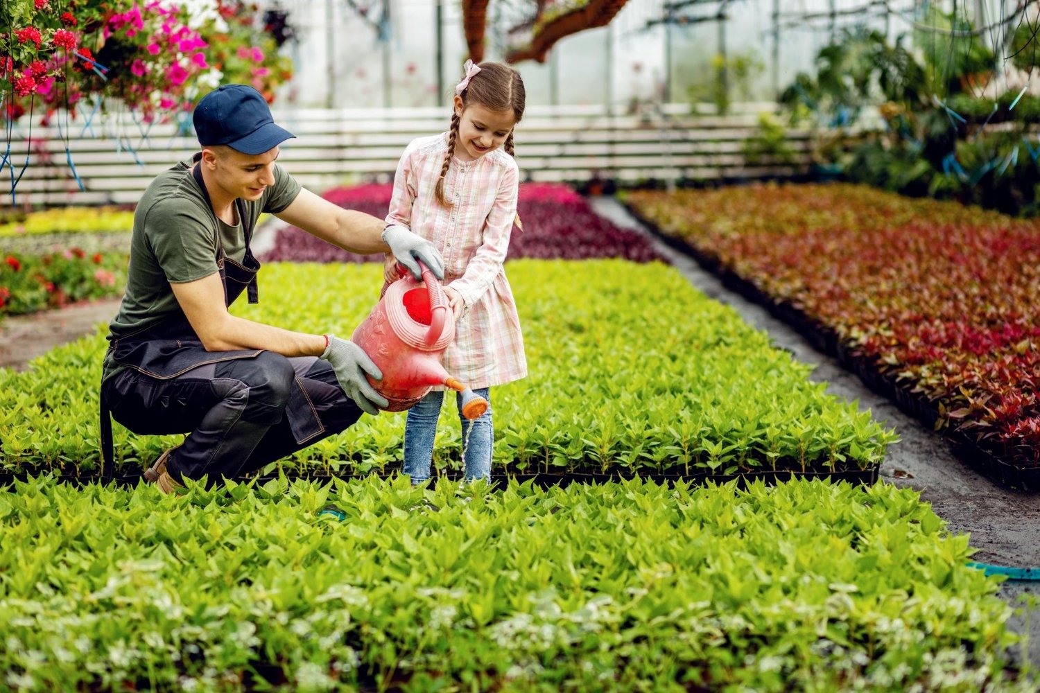 Annapurna Agro Farm nursery